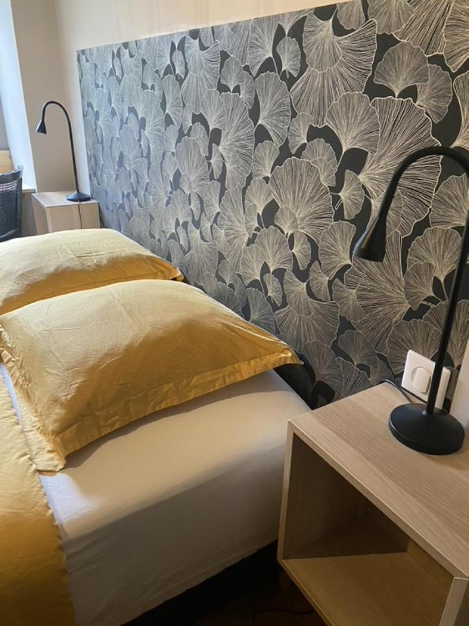 Ginkobiloba : Appartement Cosy En Coeur De Ville Bagnères-de-Bigorre Kültér fotó