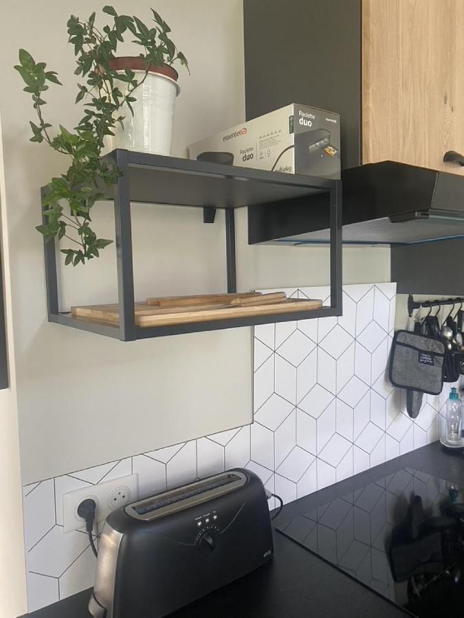 Ginkobiloba : Appartement Cosy En Coeur De Ville Bagnères-de-Bigorre Kültér fotó